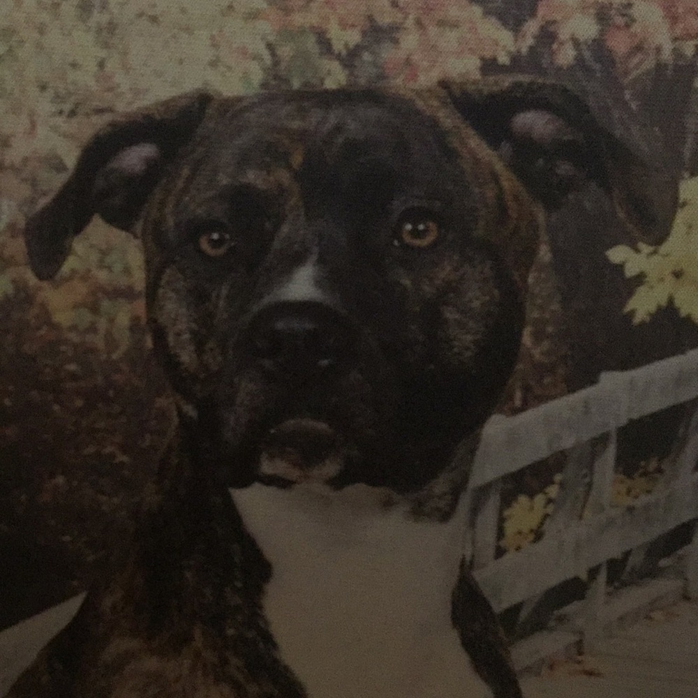 Meet your Posher, Myrna